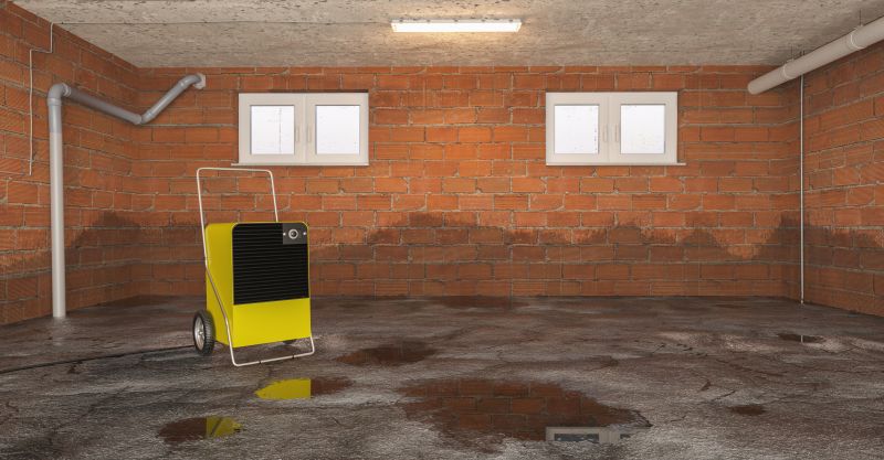 Basement Water Cleanup in Chandler, AZ