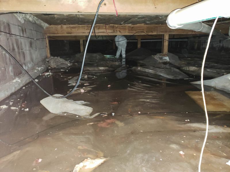 Water Extraction Service in Mesa, AZ